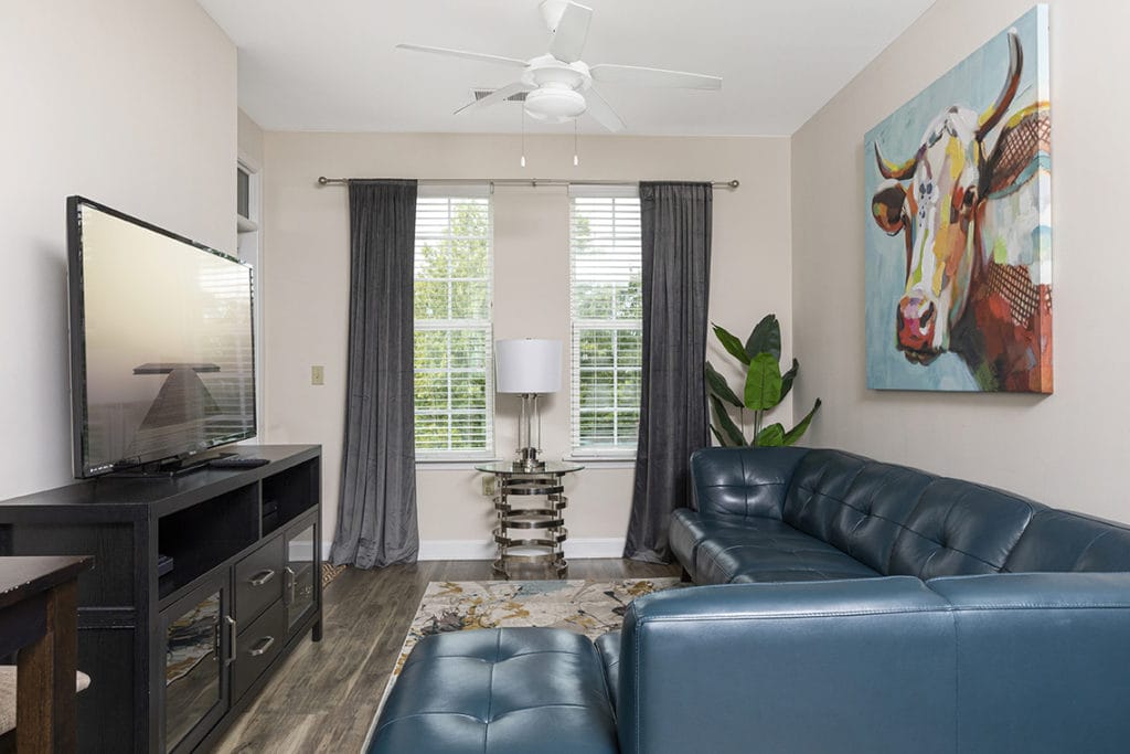 1 Bedroom Airbnb Photographer in Charlotte NC