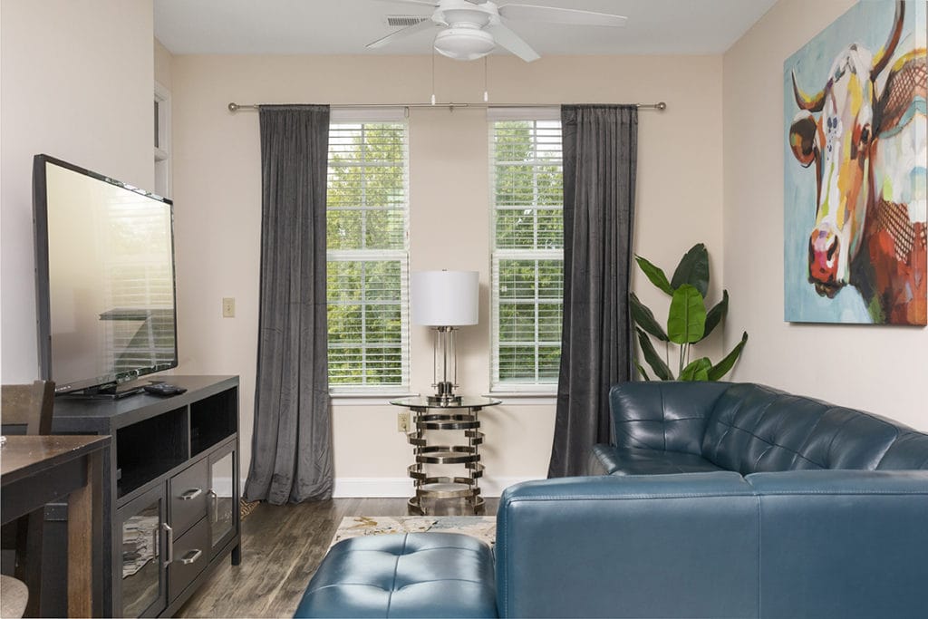 1 Bedroom Airbnb Photographer in Charlotte NC