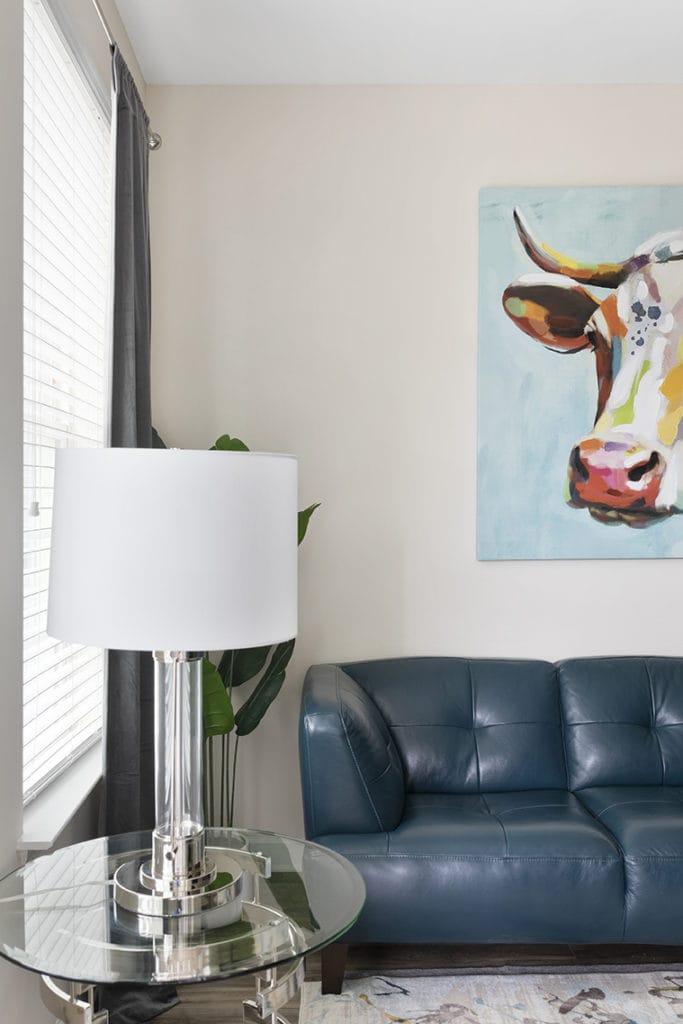 1 Bedroom Airbnb Photographer in Charlotte NC