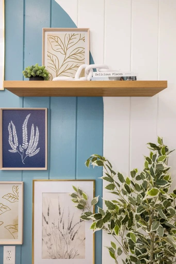A wooden shelf holds framed art, a small potted plant, white decorative rings, and a book. Below, framed botanical prints hang on a blue and white wall next to a leafy variegated plant.