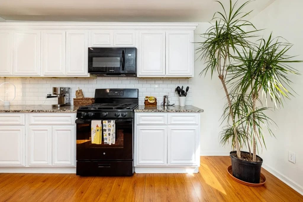 A modern kitchen with white cabinets, a black stove and microwave, granite countertops, and a large potted plant on a wooden floor—captured by an Artistic Photographer in Charlotte NC for stunning airbnb listings.