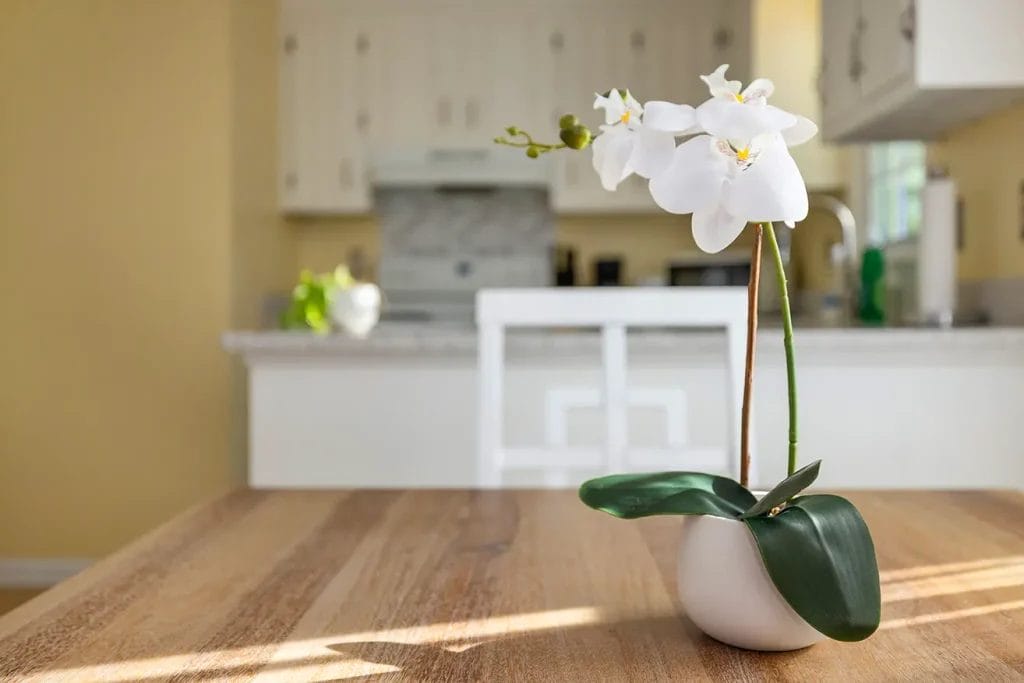 A white orchid in a small round vase sits on a wooden table in a bright kitchen with white cabinetry and sunlight streaming in.