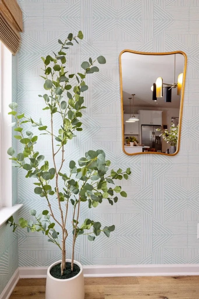 A tall potted plant with round green leaves stands by a window in a corner with geometric-patterned wallpaper; a gold-framed mirror reflects a modern kitchen with pendant lights.