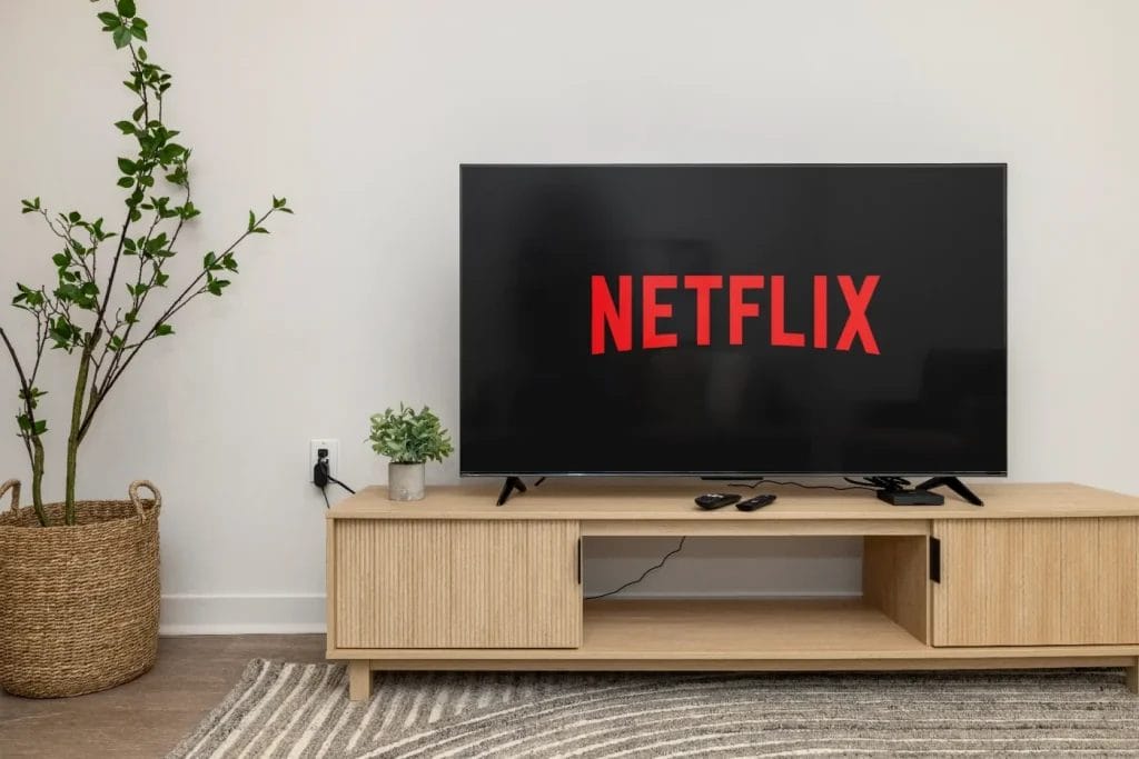 A flat-screen TV on a light wooden stand displays the red Netflix logo. The stand holds remote controls and a small plant. A large potted plant is placed on the left, next to a rug with a striped pattern.