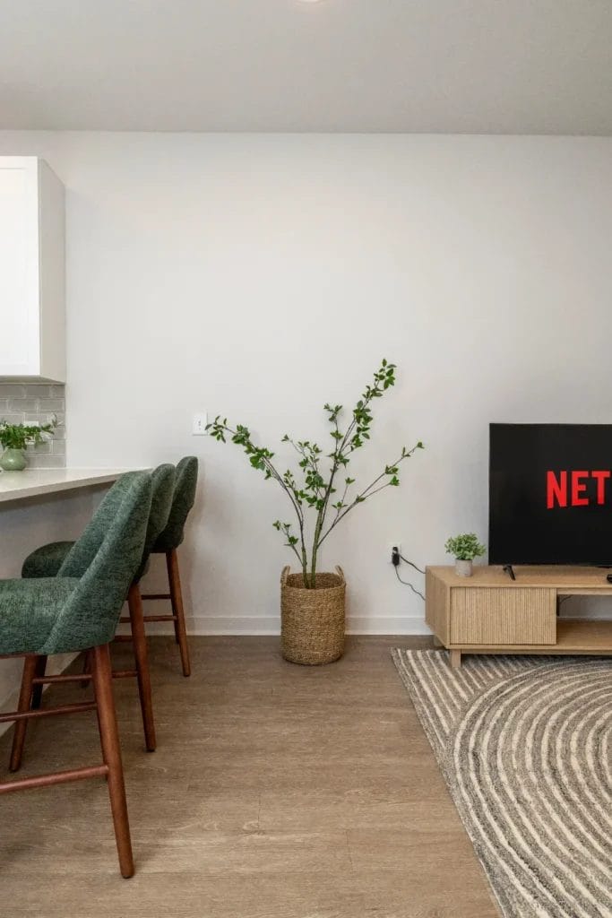 A modern living room with green barstools, a kitchen counter, a potted plant, a TV displaying “NET,” and a light wood TV stand on a wood floor with a circular patterned rug.